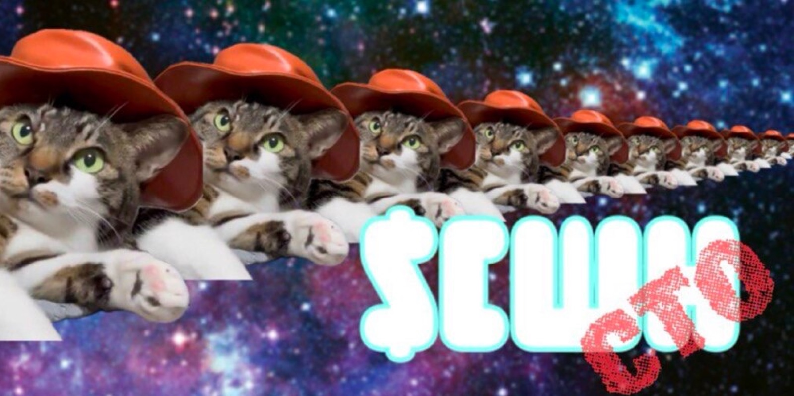 Cat Wif Hat (CWH): The Rising Meme Coin on Solana You Should Know About