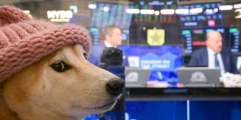 NASDOG: 솔라나의 첫 DAO 기반 밈토큰 완벽 분석