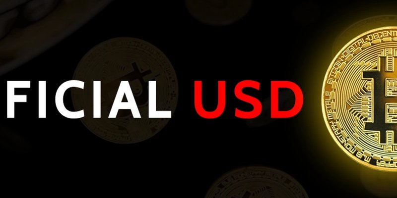 솔라나의 USDC: 밈토큰 거래와 디파이 성장을 이끄는 스테이블코인