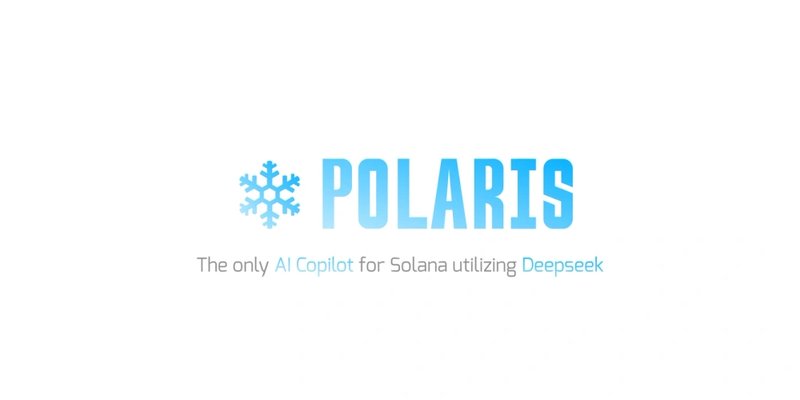 POLAR 토큰: Solana에서 DeepSeek과 함께한 최초의 AI 통합 - 분석 및 인사이트