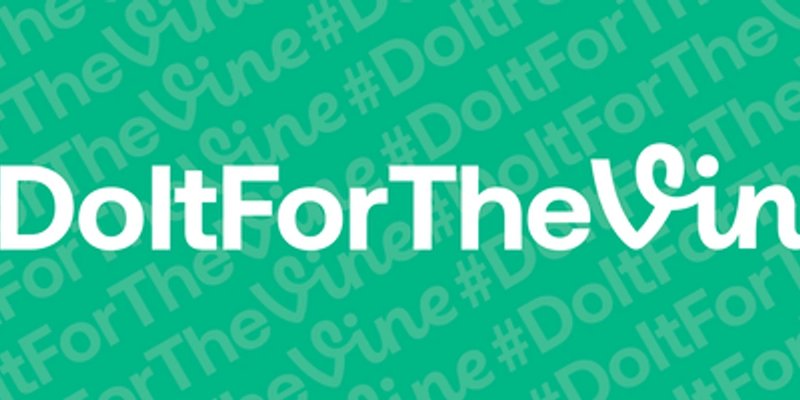 SolanaのFTVトークン：「Do It For The Vine」は危険なミームコインか？