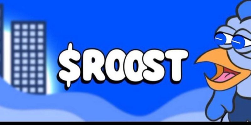 Base 체인의 ROOST 토큰: 밈 코인 현상 심층 분석