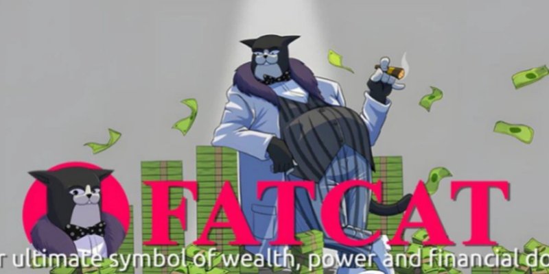 تحليل عملة فات كات (FatCat): عملة ميم على سولانا - السعر، حجم التداول، ومخاطر الاستثمار