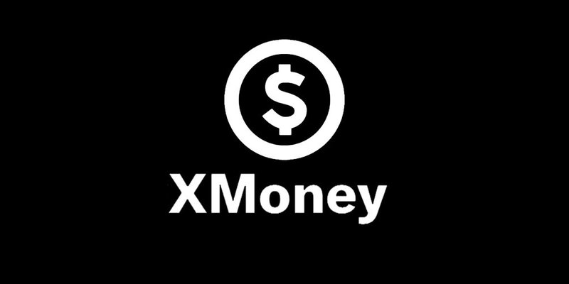 XMONEY：Solana 上的 Meme 币，幽默讽刺“X 支付”概念