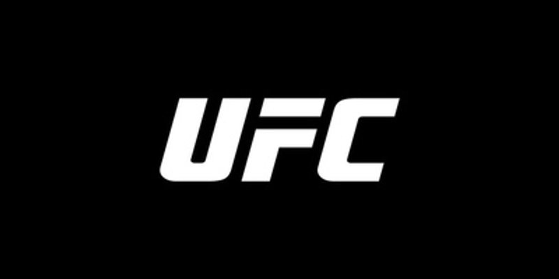 UFCトークン Solana：これは次のKOか、それとも危険なテイクダウンか？