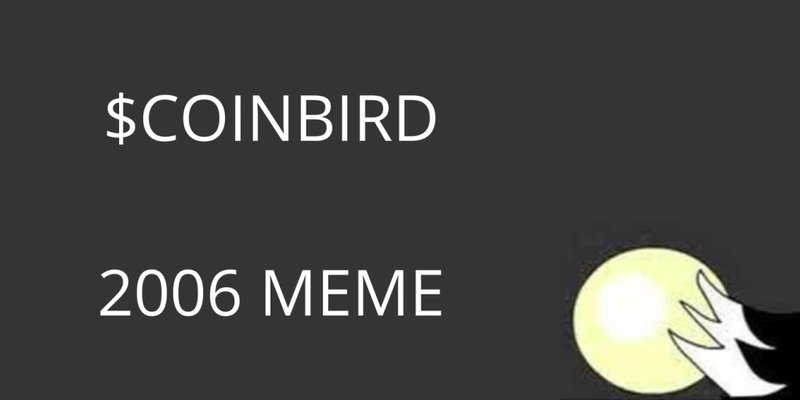 COINBIRD: Solana's High-Flying Meme Coin or Risky Bet? An In-Depth Look