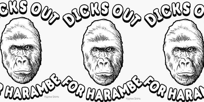 DICKSOUT: Is This Solana Meme Token the Next Big Thing or a Risky Bet?