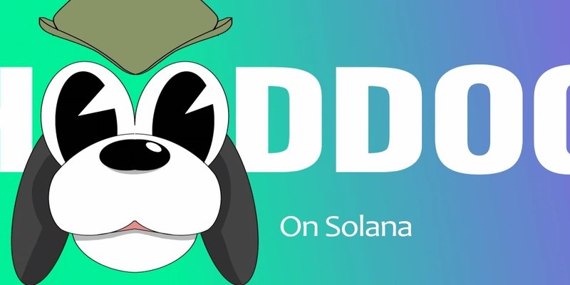 HOODDOG 토큰: 솔라나의 최신 밈 코인 센세이션? | Meme Insider