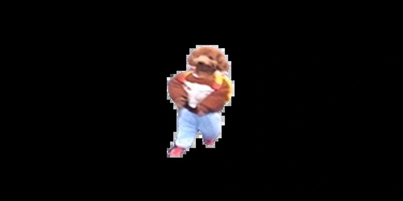 Pants Token on Solana: The Ultimate Guide to This Viral Meme Coin