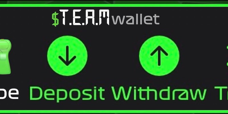 TEAM Token on Base Chain: Is This the Next Big Meme Coin?