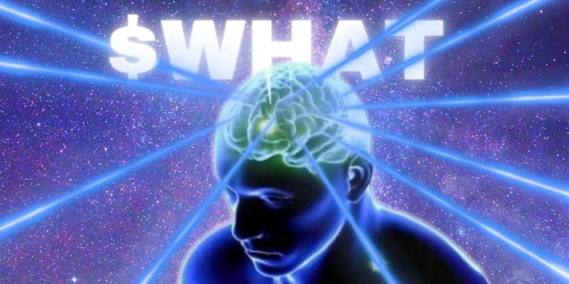 WHAT Token on Base Chain: The Ultimate Meme Coin HODL Experiment?