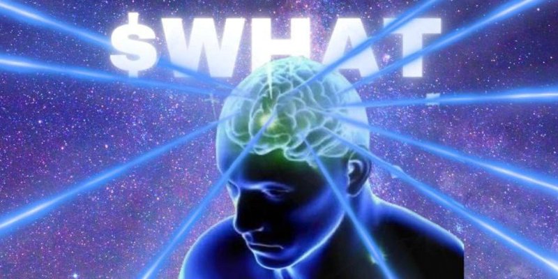 WHAT Token on Solana: Is This Meme Coin the Next Big Thing? A Beginner's Guide