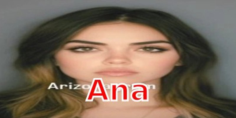 Solana 上的 Ana Token：揭秘 AI 互联网女友 Meme 币