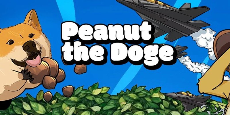 PDOGE (Peanut the Doge): ソラナの新しいミームコイン？ - 価格、分析とリスク