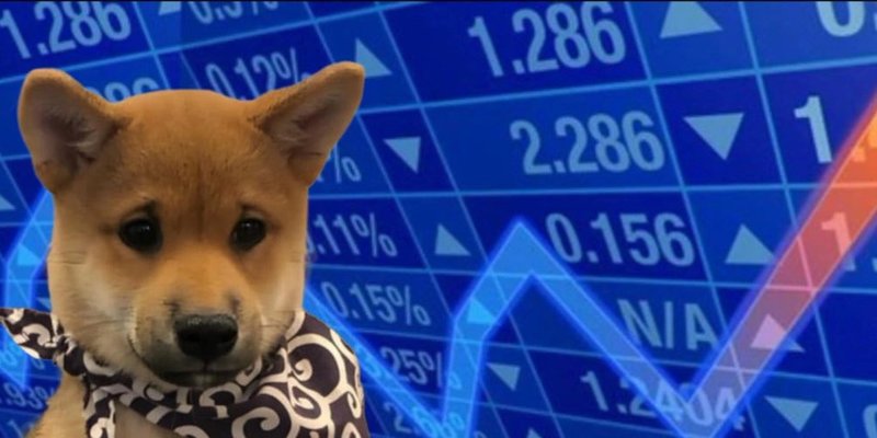 SCARFトークン：Solana版Dogwifscarf？Meme Insider徹底解説