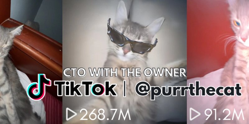 PURRトークン：Solanaの完璧なミームコイン？価格、リスク、そしてGMGN.AIガイド