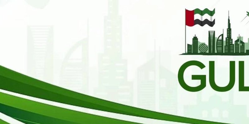 下一个 Solana Meme 币轰动？深入了解 GULF Token