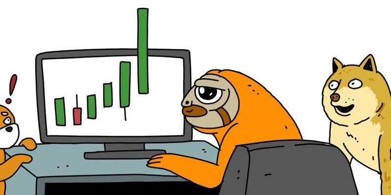 SLERF: How a $10M Mistake Launched This Solana Meme Coin to Crypto Stardom