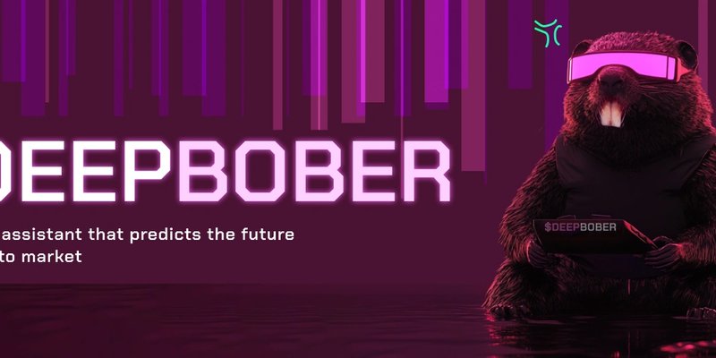 DEEPBOBER: Solana's Latest Meme Coin Craze or Crypto Caution Flag?
