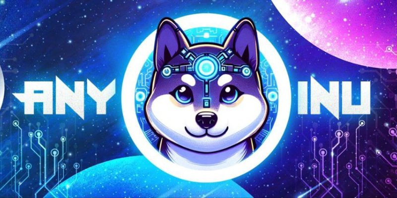 Exploring ANYAI: Solana's Latest Meme Token Sensation