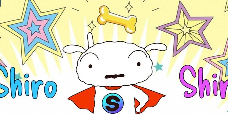 Shiro Token Solana：解读白猫 Meme 币 - 价格、市值与风险