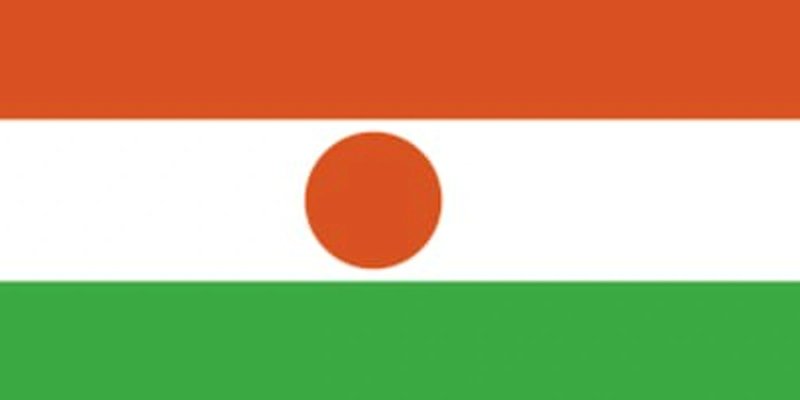 Unveiling the Mystery of the NIGER Token on Solana: Is GMGN.AI the Key to Navigating Risky Meme Coins?