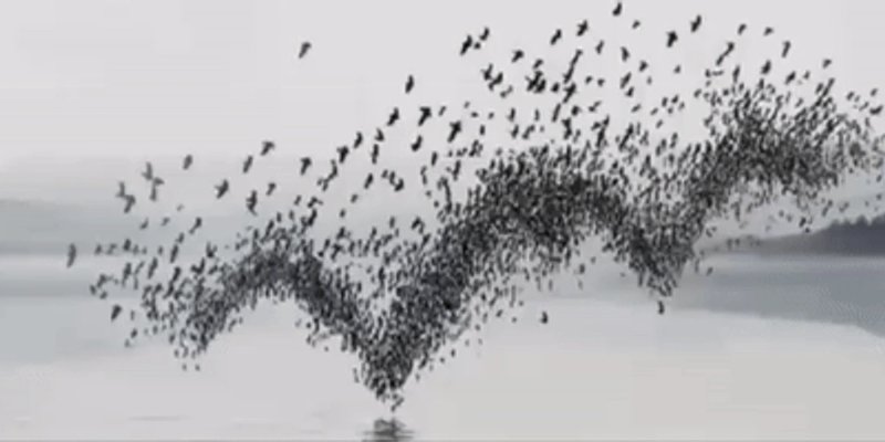 Swarmトークン：Solanaのバズるミームコインか、それともAIエージェント革命か？