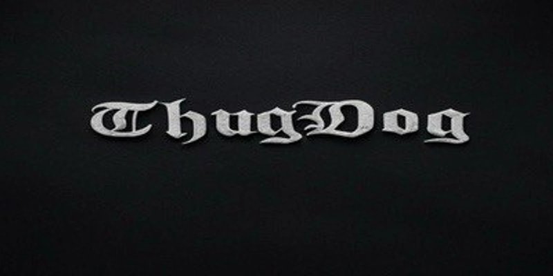 THUG Token on Solana: Is This Meme Coin a Gem or a Trap?