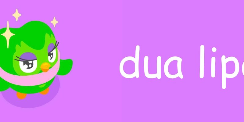 "Dualipa (SOL): نظرة متعمقة على عملة ميم Solana - هل عملة بومة Duolingo هي الميم الكبير القادم؟"