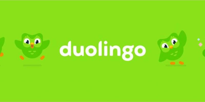 Duo Token Solana: Riding the Meme Coin Wave or Navigating a Red Flag?