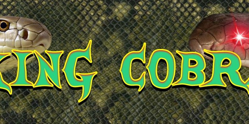 COBRA Token: Unpacking Solana's Newest Meme Coin - Risks, Rewards, and Real-Time Data