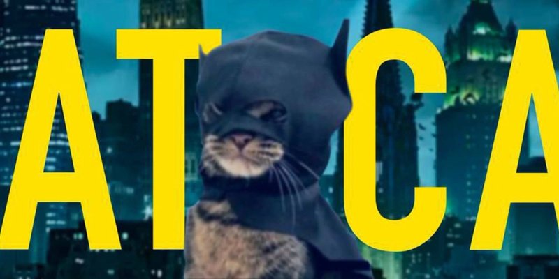 BATCATトークン：Solanaミームコインが30,000%急騰 – 次の暗号資産のセンセーションか？
