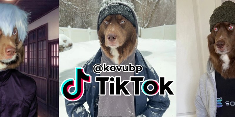 Kovu Token: A Solana Meme Coin with a Heart of Gold (and Fur)