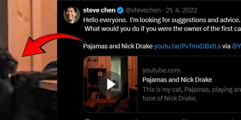 PAJAMAS Token：解析 Solana 上首个 YouTube 猫咪 Meme 币