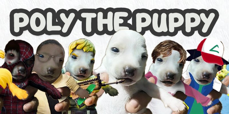 Unmasking POLY on Solana: Is This Meme Token the Next Big Thing? + GMGN.AI Deep Dive