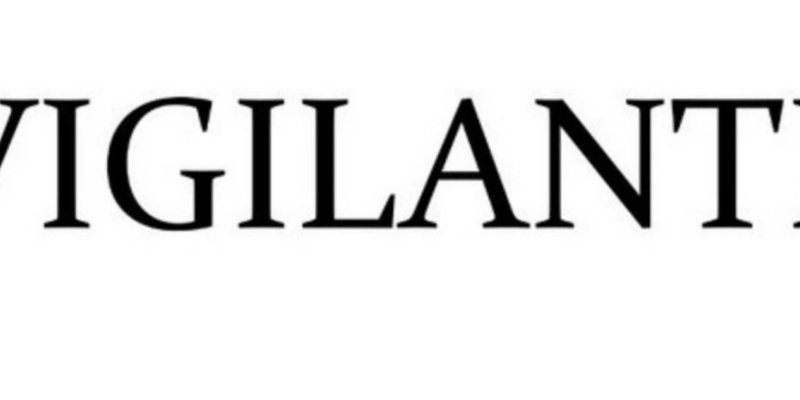 Solana上的VIGI币：搭上Meme币浪潮还是高风险博弈？