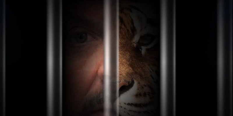 TigerFart Token：Solana 上最新的 Meme 币？价格、风险和交易方式