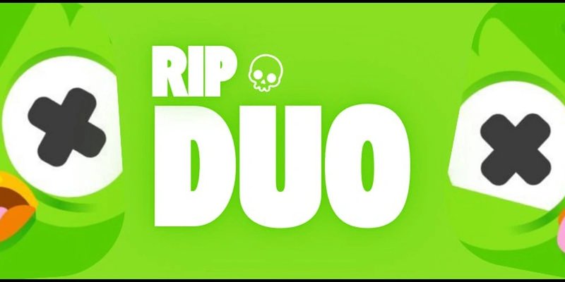 Solana上的Duo Token：Duolingo猫头鹰 Meme币是真实还是炒作？