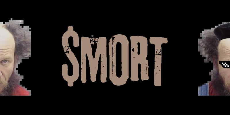 MORT Token：Solana Meme币深度解析