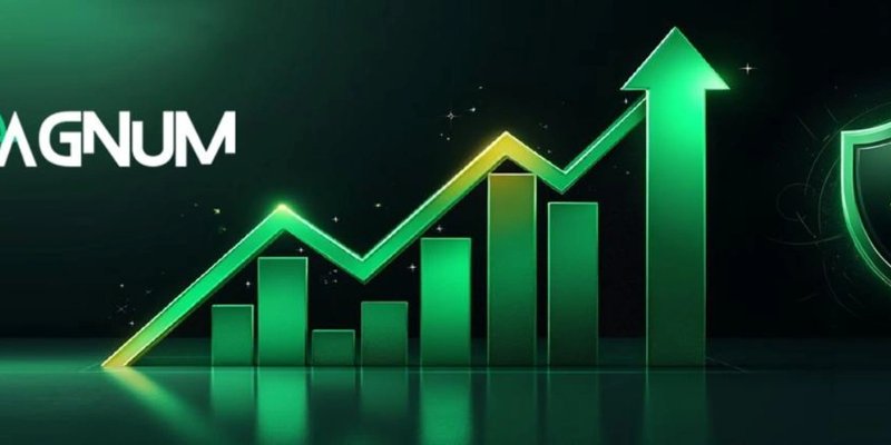 Solana 上 MAG Token 解包：Magnum SniperBot，Meme 币混淆，以及 GMGN.AI 的洞见