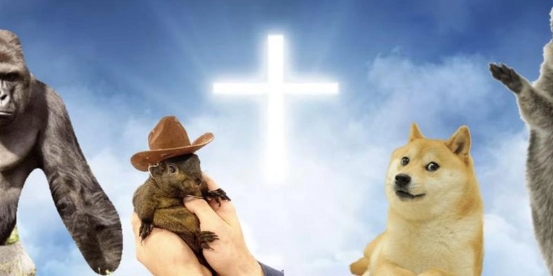 SDAR Token：Solana 战略性死亡动物储备 Meme 币揭秘 - 价格、分析与 GMGN.AI 追踪