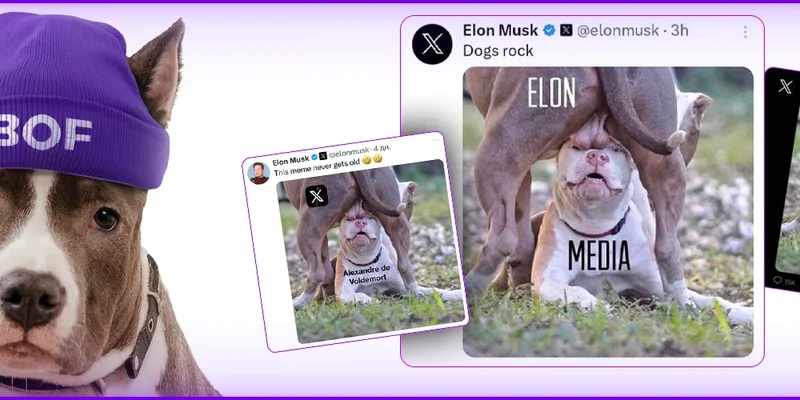 Decoding $BOF: Solana's Wild Meme Coin Ride - Balls of Fate or Book of Frog?
