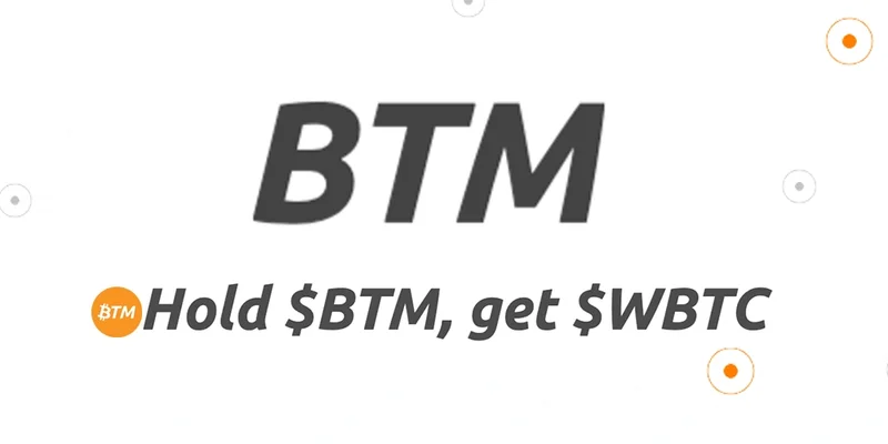 比特币国库机 (BTM): 探索 Solana Meme 代币的炒作与风险