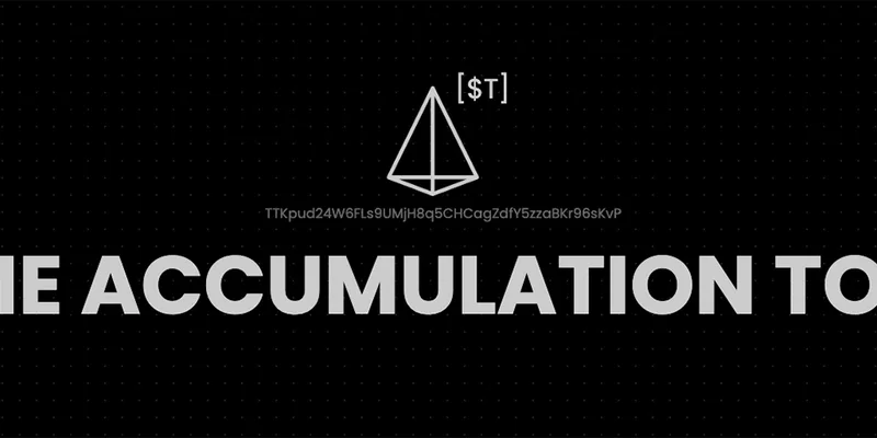 Decoding the 'T' Token on Solana: Is Time Accumulation the Next Big Meme Coin?