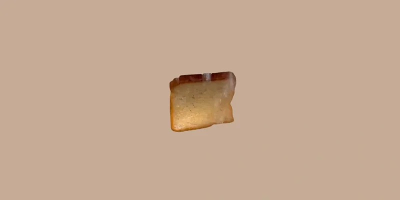 솔라나에서 떠오르는 밈 코인, Bread ($BREAD) 심층 분석