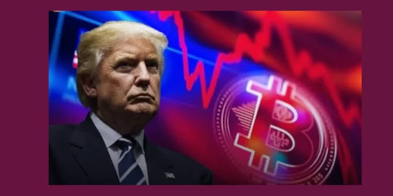 SBR Token: Solana's Strategic Bitcoin Reserve Meme Coin - Is It the Next Big Thing?