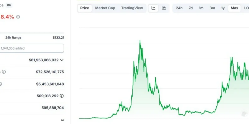 SOL$120 토큰: 보석인가 사기인가? 밈 인사이드에서 이 Solana 밈 코인 파헤치기