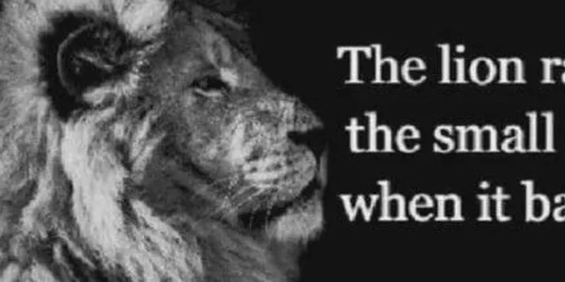 TheLion Roars on Solana: A Deep Dive into the Hottest Meme Token and GMGN.AI Tools