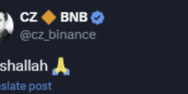 Mashallah Token: Unpacking the Hype of this BNB Chain Meme Coin - Price, Volatility, and What You Need to Know