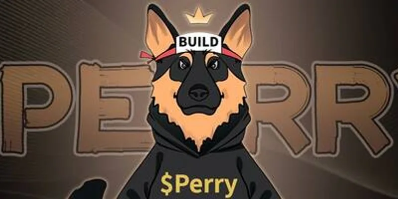 Perry Token: Is This BNB Chain Meme Coin the Next Big Dog? | Meme Insider